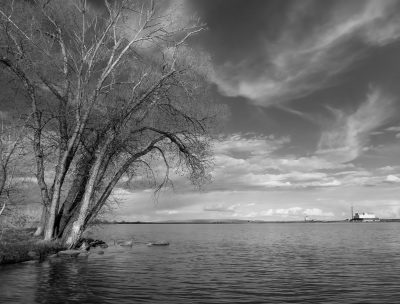 Where the power really lies, Prairie Oasis, Special Areas No. 2, AB, 2026-05-19