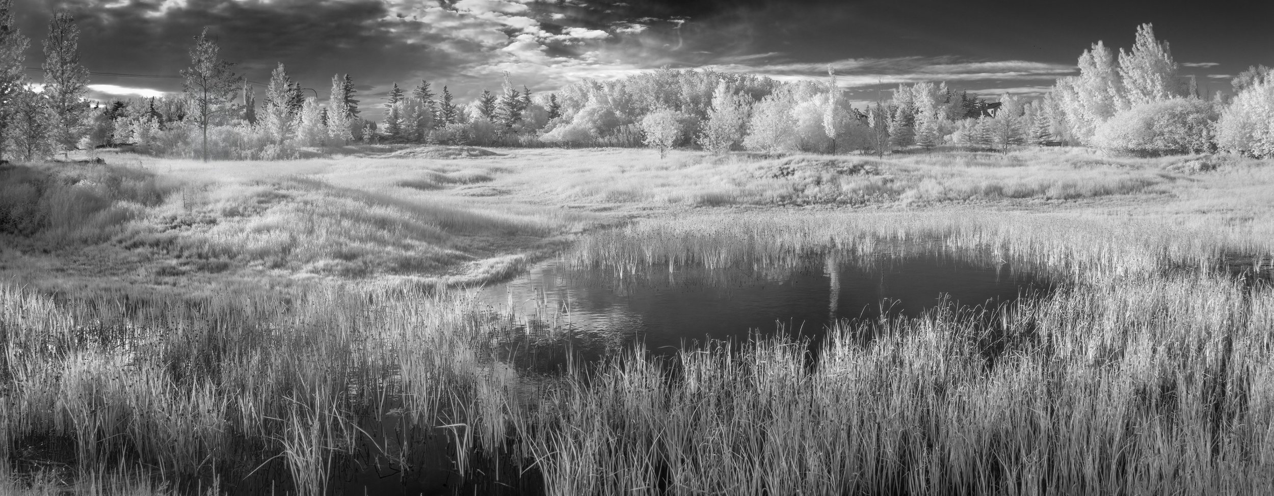 The wide view, Gray Park, Strathmore, AB, 2026-06-19
