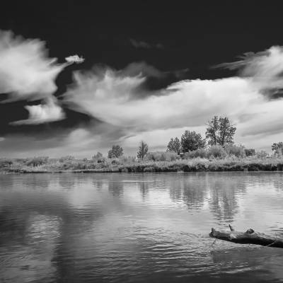 Like a record baby, Johnson's Island, Wyndham Carseland Prov Park, AB, 2025-06-14