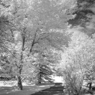 Path to intrigue, Lambert Park, Strathmore, AB, 2026-06-09