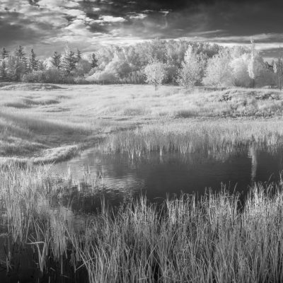 The wide view, Gray Park, Strathmore, AB, 2026-06-19