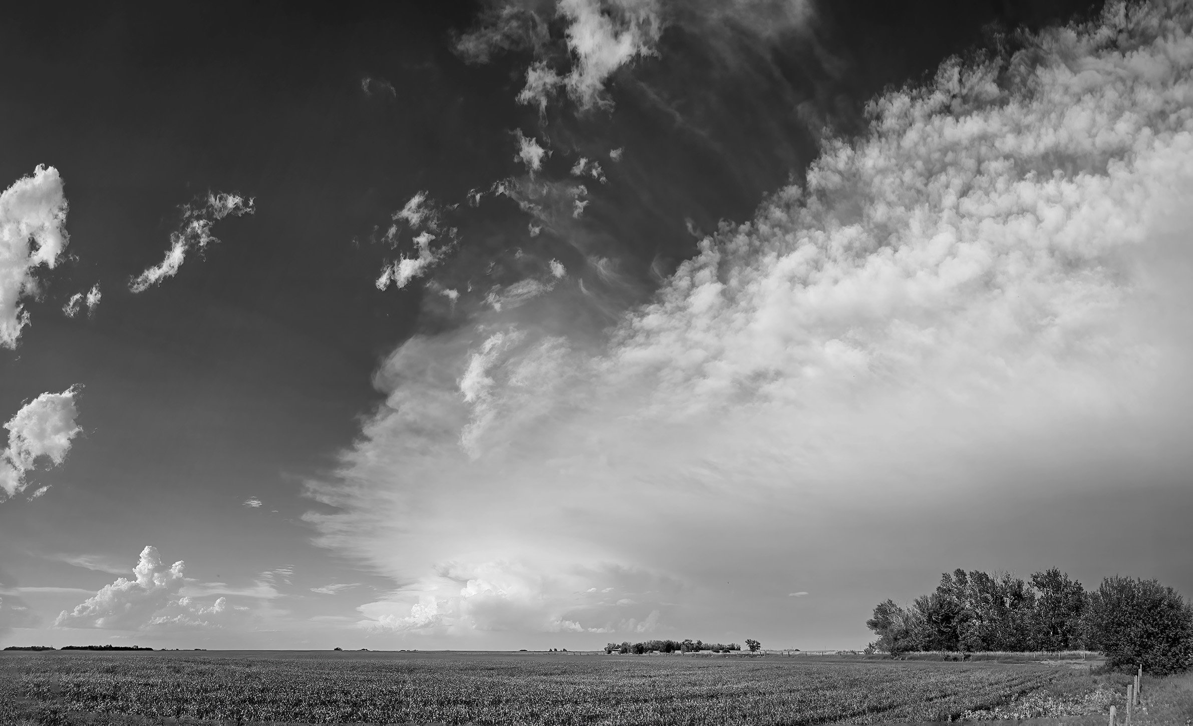 Leading Edge, North of Twp Road 224, Strathmore, AB, 2026-07-08