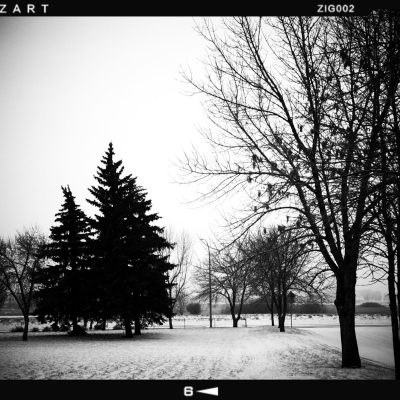 Just put it in park, Thornbriar Green, Calgary, Alberta, 2024-02-27