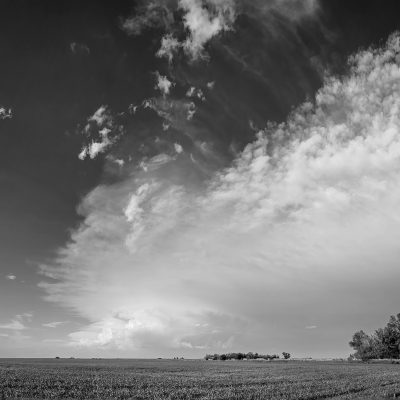 Leading Edge, North of Twp Road 224, Strathmore, AB, 2026-07-08